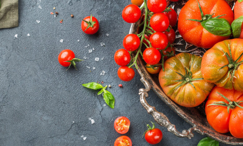 La mejor época para plantar tomates: Aprende cuándo cultivar tomates de forma óptima